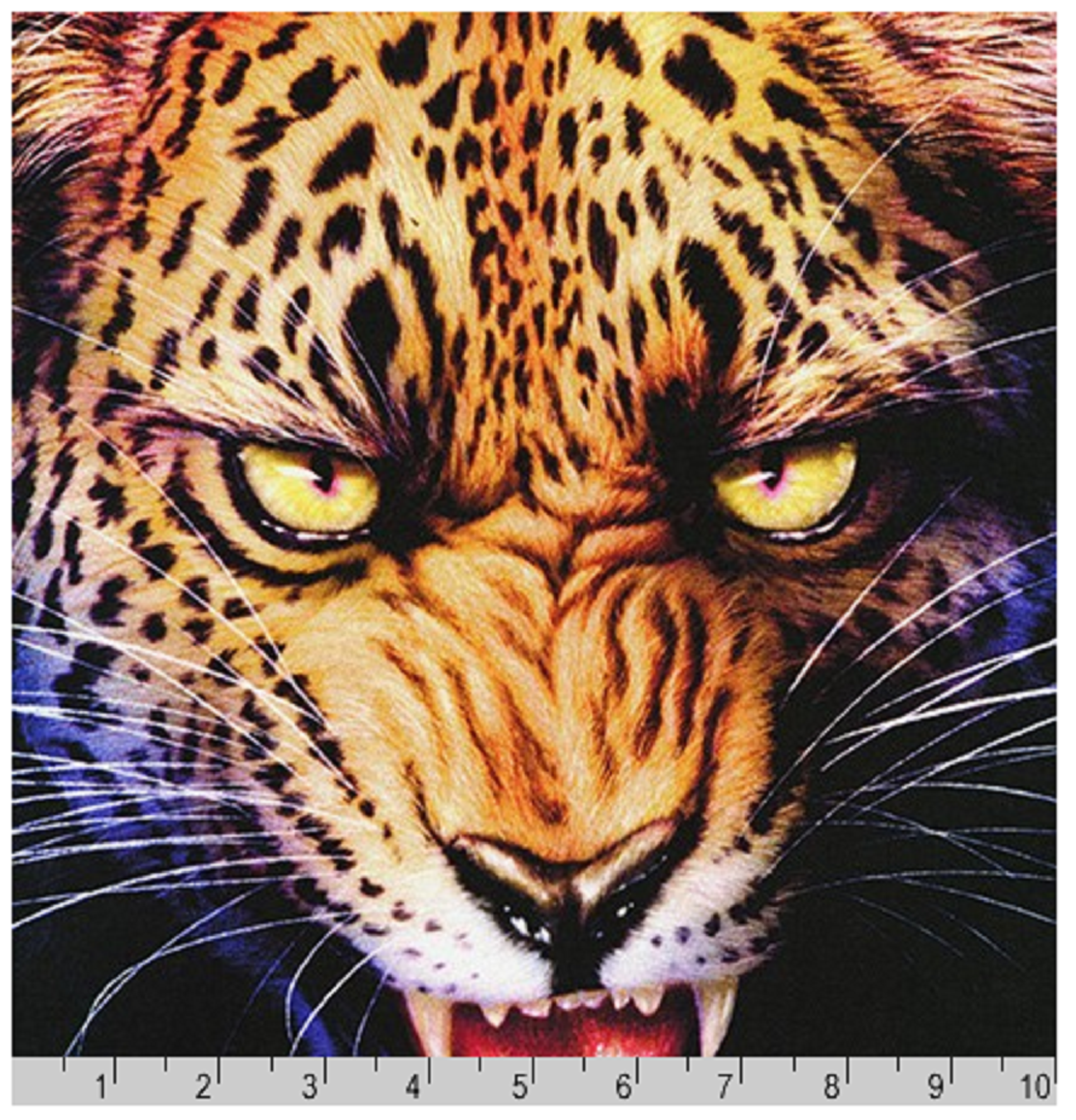 Animal Kingdom: Wild Cheetah Panel-Robert Kaufman | Little Bit Of Fabric
